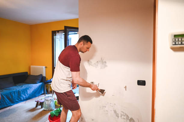 Best Mold Cleaning Services  in Brier, WA